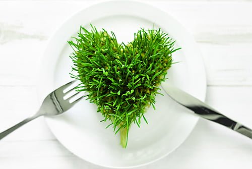 Powody, dla ktorych warto przyjmowac alge Chlorella Powody, dla ktorych warto przyjmowac alge Chlorella
