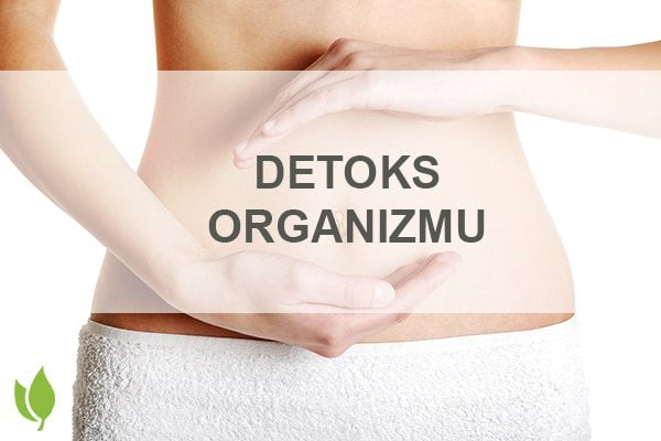 detoks organizmu detoks organizmu
