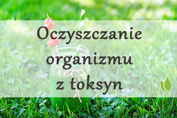Oczyszczanie organizmu z toksyn Oczyszczanie organizmu z toksyn