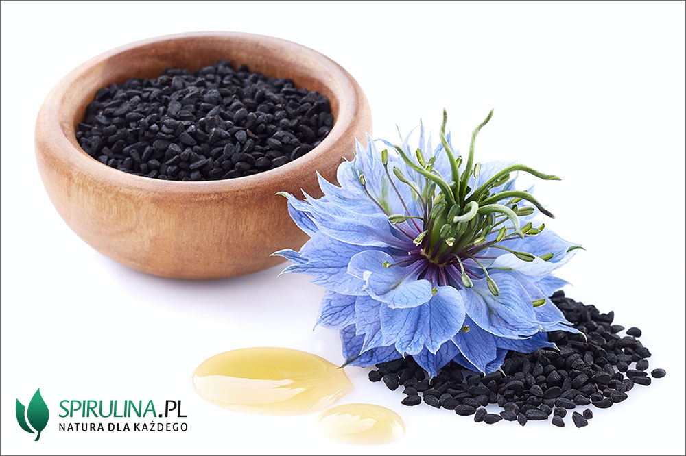 Czarnuszka Nigella sativa Czarnuszka Nigella sativa