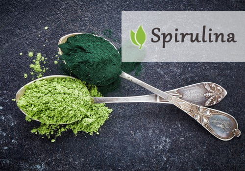 Spirulina morska a slodkowodna podobienstwa i roznice Spirulina morska a slodkowodna podobienstwa i roznice