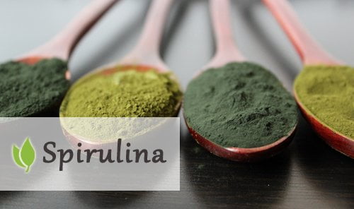Nie kazda spirulina to spirulina roznice Nie kazda spirulina to spirulina roznice