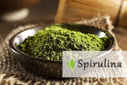5 powodów aby dodawać Spiruline do codzienniej diety 5 powodów aby dodawać Spiruline do codzienniej diety