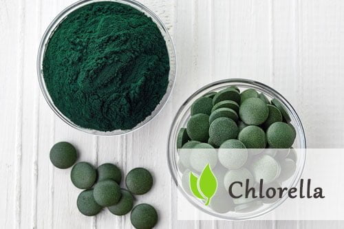 Chlorella – właściwości i opinie Chlorella - właściwości i opinie