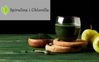 Algi Chlorella i Spirulina. Rozdział 2. Ekscytujące odkrycie żywnościowe