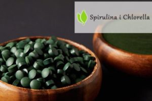 Algi Chlorella i Spirulina. Rozdział 3. Dlaczego jestem tak zainspirowany?