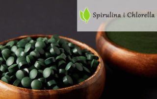 Algi Chlorella i Spirulina. Rozdział 3. Dlaczego jestem tak zainspirowany?