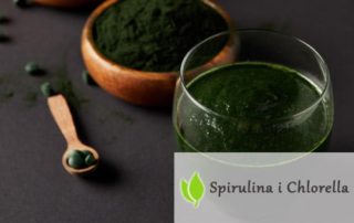 Algi Chlorella i Spirulina. Rozdział 4. Skąd pochodzi Spirulina i Chlorella?