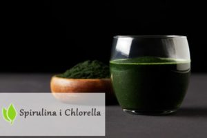 Algi Chlorella i Spirulina. Rozdział 11. Niskowęglowodanowe diety.