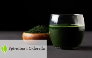 Algi Chlorella i Spirulina. Rozdział 11. Niskowęglowodanowe diety.