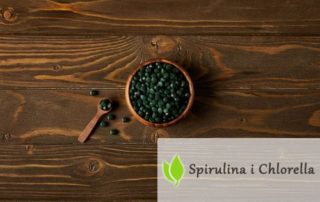 Algi Chlorella i Spirulina. Rozdział 16. Usprawnianie pracy mózgu.