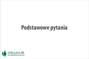Podstawowe pytania Podstawowe pytania