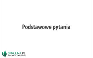 Podstawowe pytania
