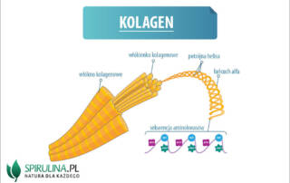 Kolagen