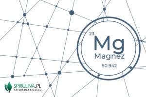 Magnez - niezbędny dla każdej komórki organizmu