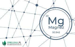 Magnez - niezbędny dla każdej komórki organizmu