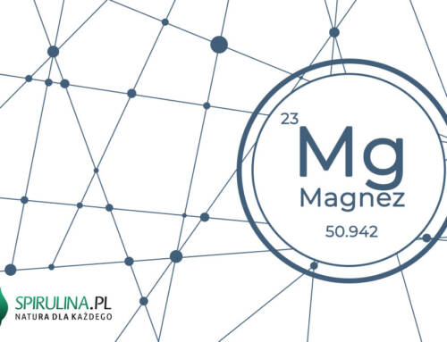 Magnez – niezbędny dla każdej komórki organizmu