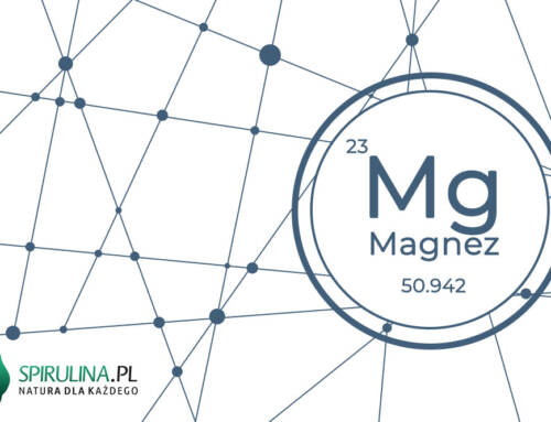 Magnez