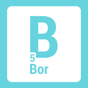Bor