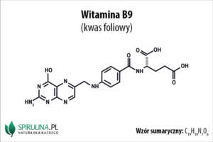 Witamina B9 (kwas foliowy) Witamina B9 (kwas foliowy)