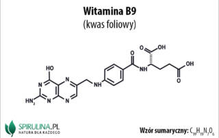 Witamina B9 (kwas foliowy)