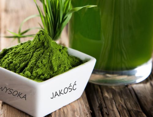 Spirulina – wybieramy najlepszy suplement wg certyfikatów