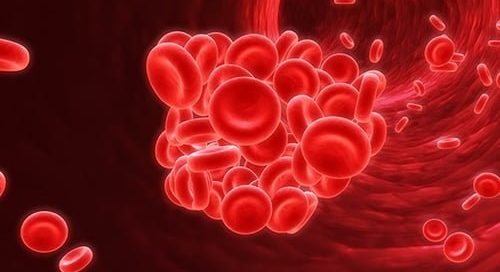 Spirulina a anemia