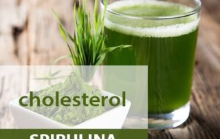 spirulina cholesterol