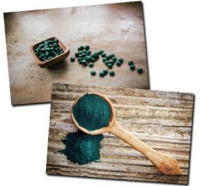 spirulina i chlorella najlepszy wybor