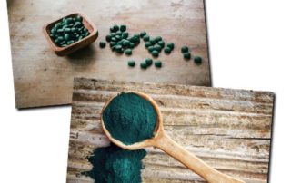 spirulina i chlorella najlepszy wybor