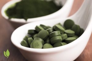 Chlorella z Tajwanu