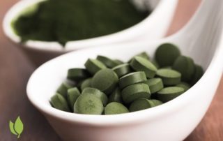 Chlorella z Tajwanu