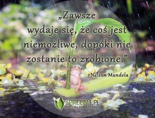 Zawsze wydaje się, że coś jest niemożliwe