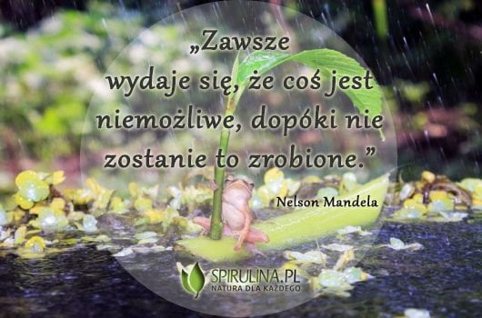 Zawsze wydaje sie ze cos jest niemozliwe