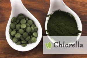 Chlorella Vulgaris