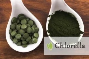 Chlorella Vulgaris