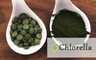 Chlorella Vulgaris