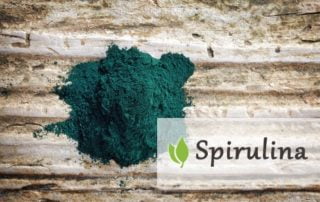 Spirulina a rak