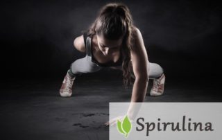 Spirulina bialko sport