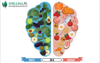 Dieta dla mózgu