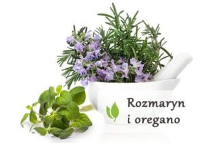 Rozmaryn i oregano