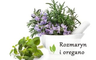 Rozmaryn i oregano