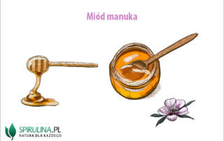 Miód manuka