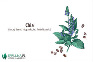 Chia