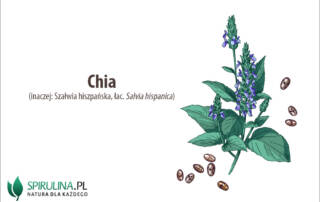 Chia