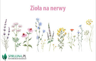 Zioła na nerwy