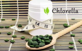 Chlorella na poprawę trawienia