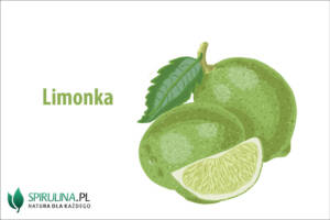 Limonka