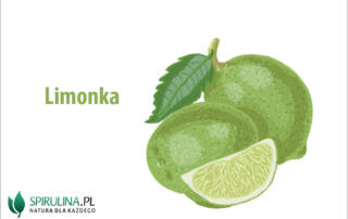 Limonka