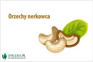 Orzechy nerkowca